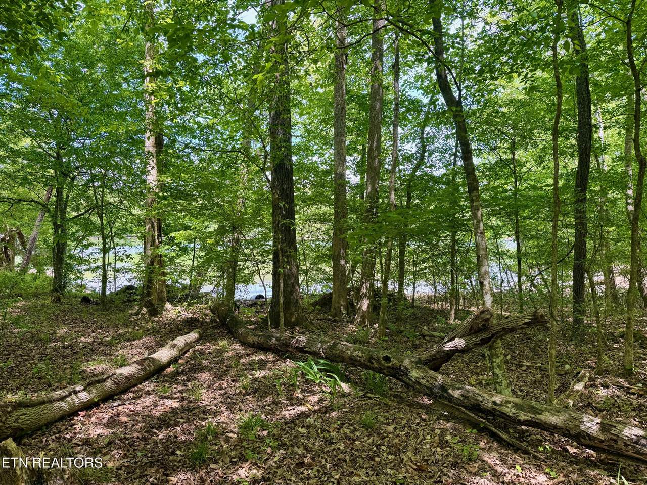  Lot 2 Eagle Ridge Rd - Photo 1