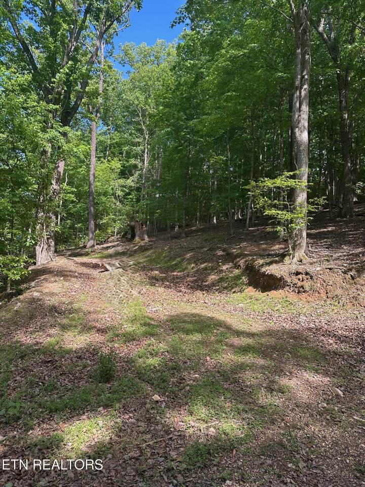 490 Fox Ridge Lane - Photo 1