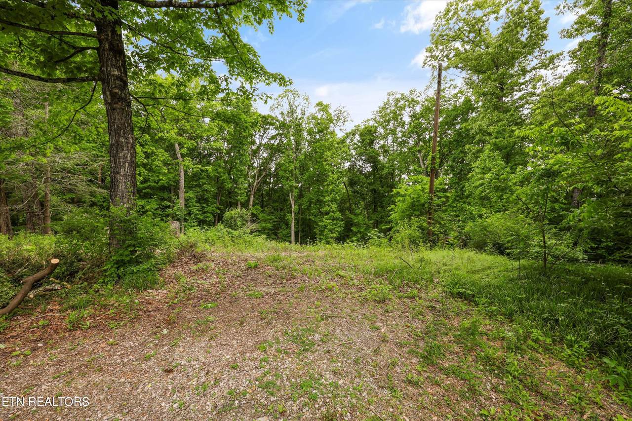 2915 Curtis Lane - Photo 1
