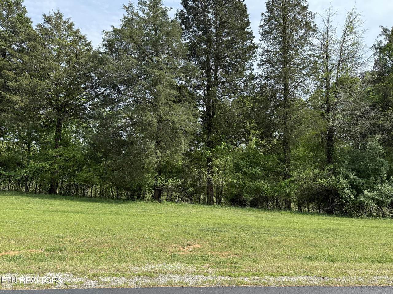 205 Shore Drive - Photo 1