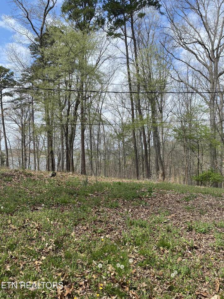 Lot 429 Mayflower Lane - Photo 1