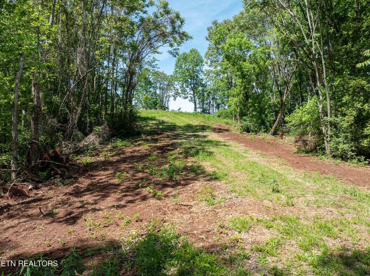 13389 Meadow Rd - Photo 1