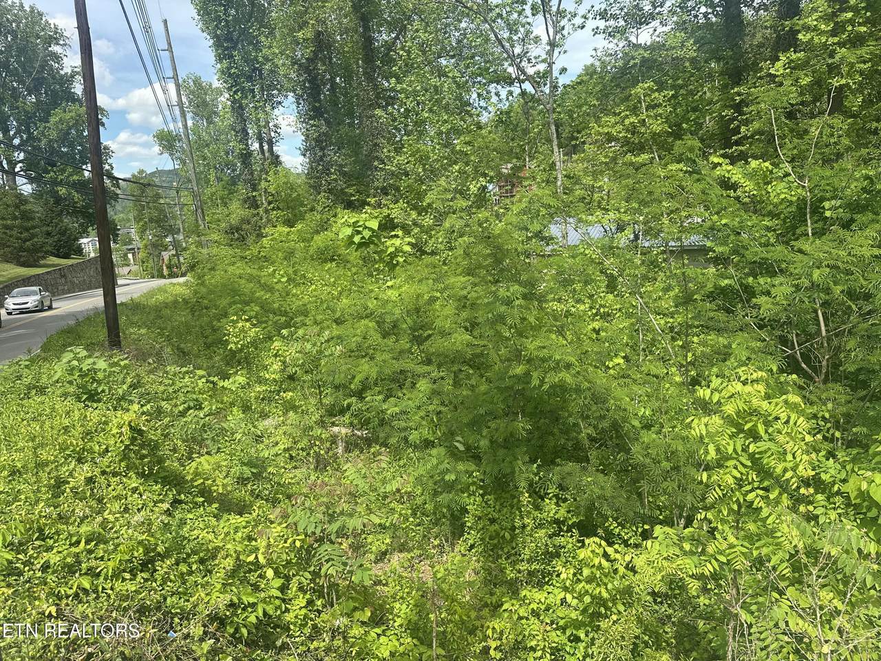 519 Cherokee Orchard Rd - Photo 1