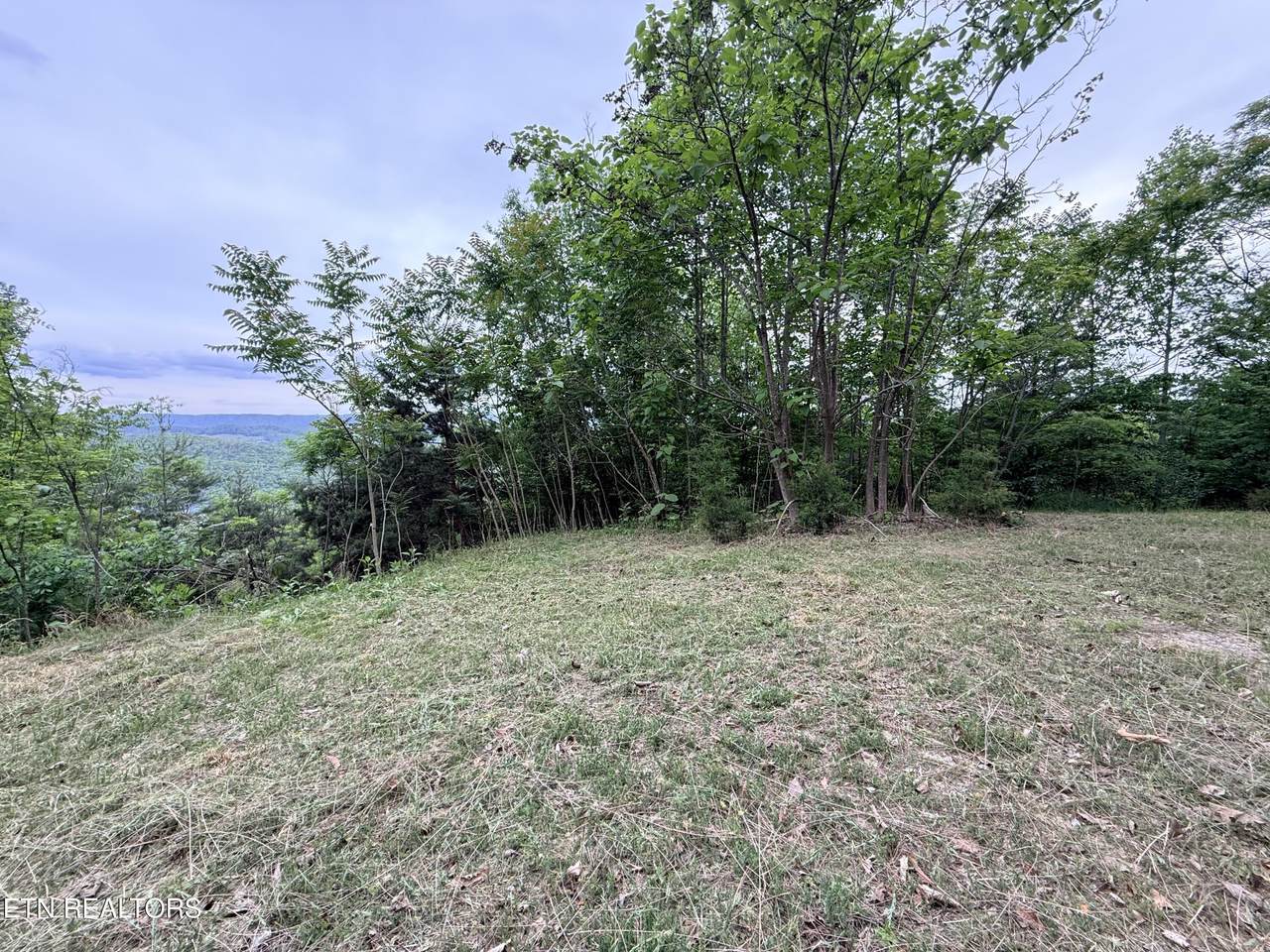 211 Blackstone Lane - Photo 1