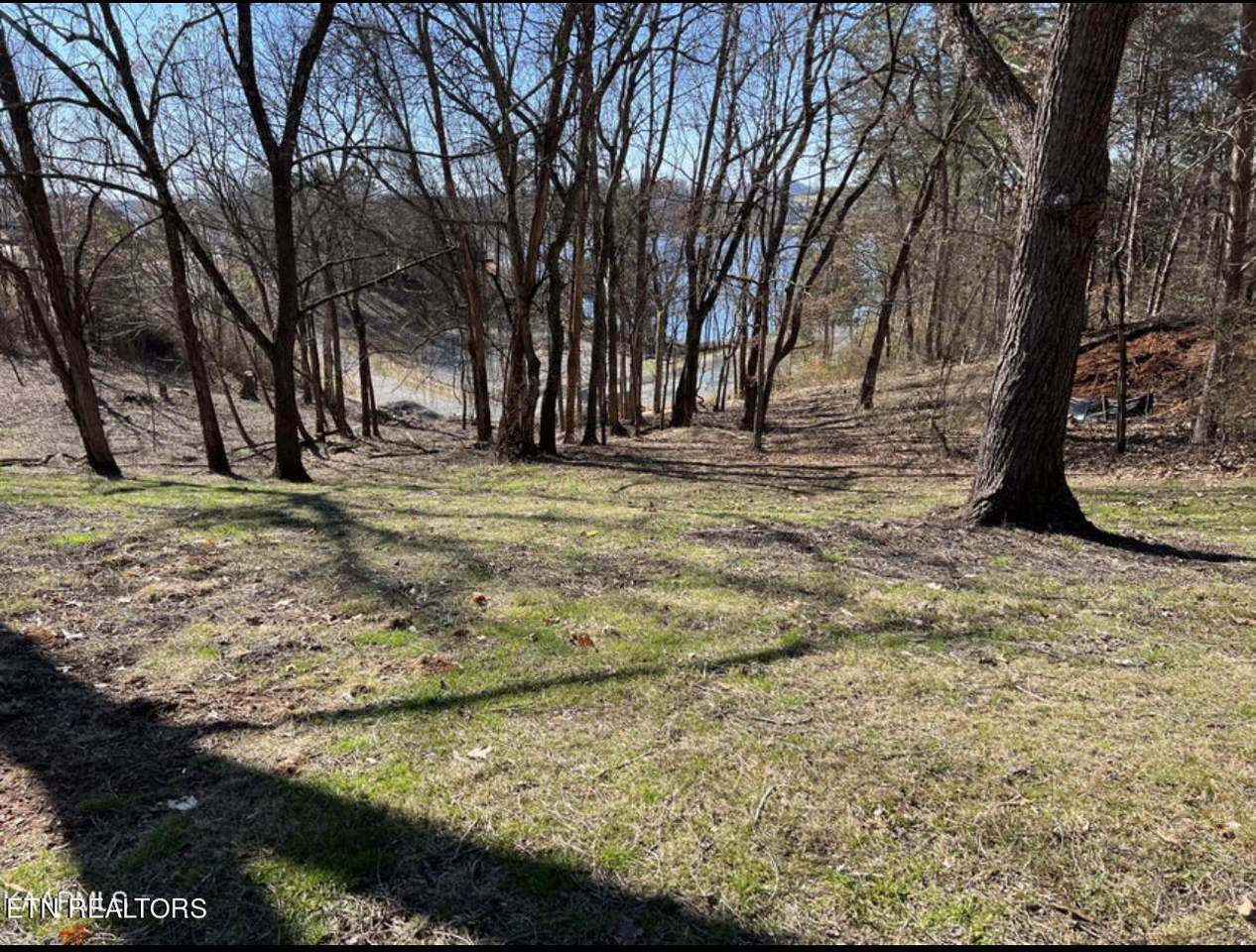 300 Southshore Drive - Photo 1