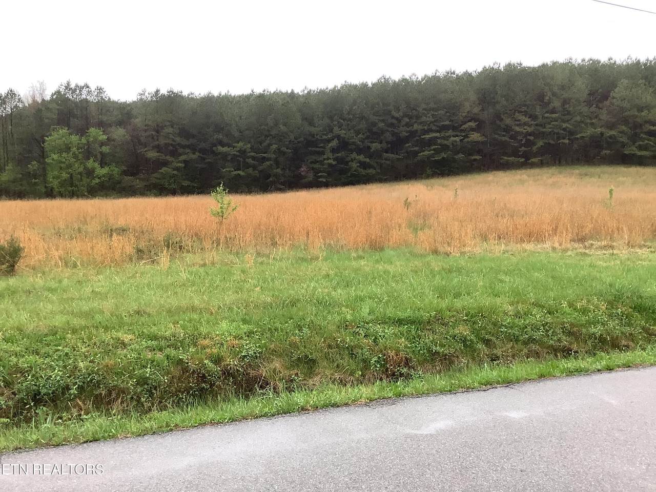 113 Woods Hollow Rd - Photo 1