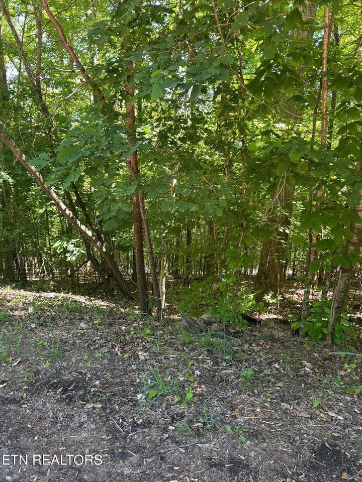 lot 63 Stoney Rock Lane - Photo 1