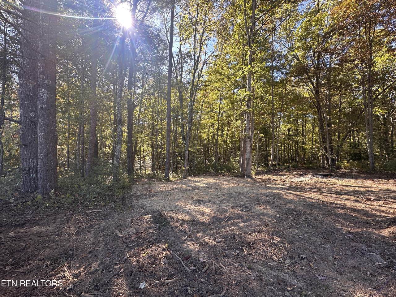 18.6 Ac Cave Branch Rd - Photo 1