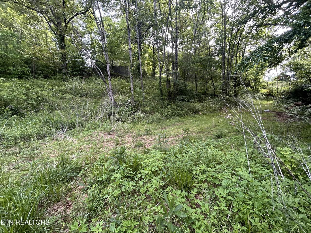 Lot 32 Ernie Roberts Rd - Photo 1