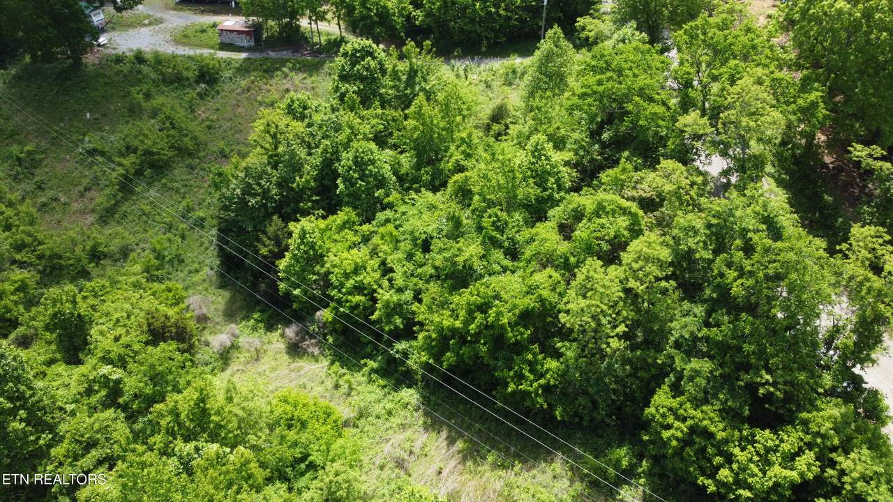 801 Old Highway 25E - Photo 1