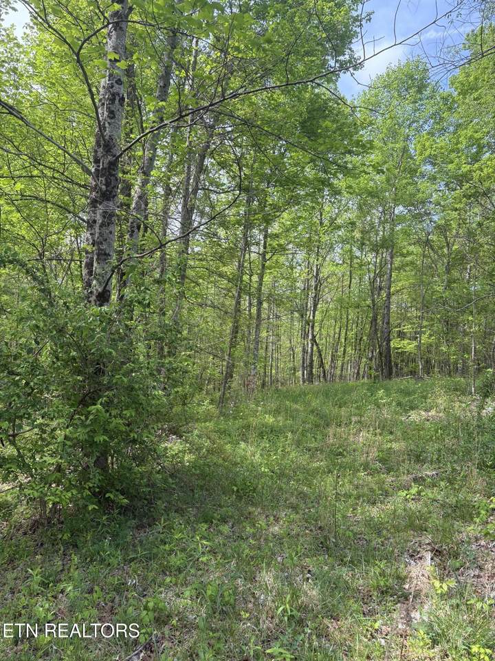 157 Casteel Rd - Photo 1
