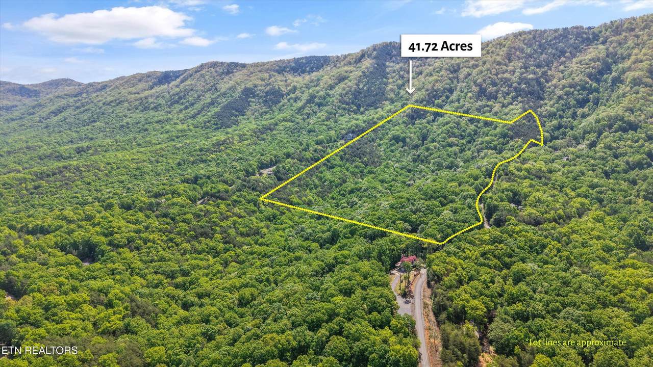 Tract 77 Chilhowee Tr - Photo 1