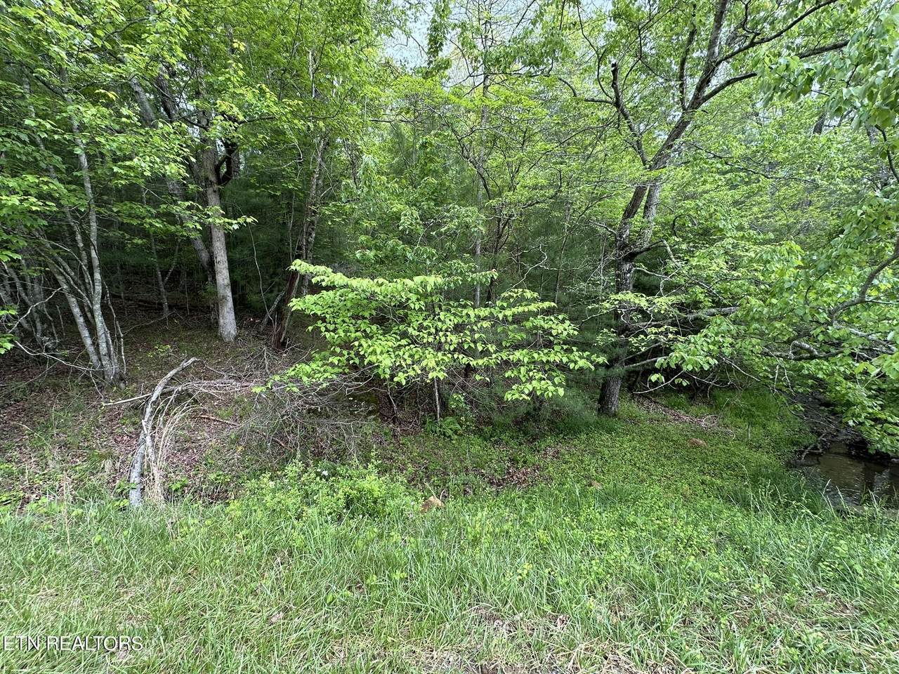 110 & 112 Forest Hill Drive - Photo 1