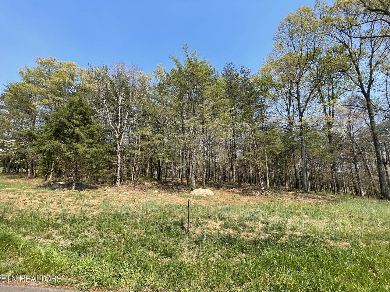140 Padstow Lane - Photo 1