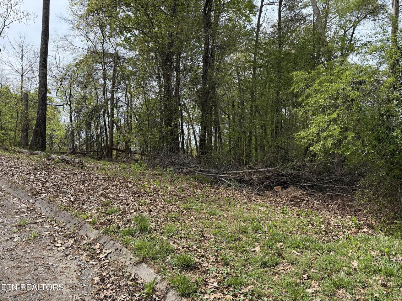  John Spears Way - Photo 1