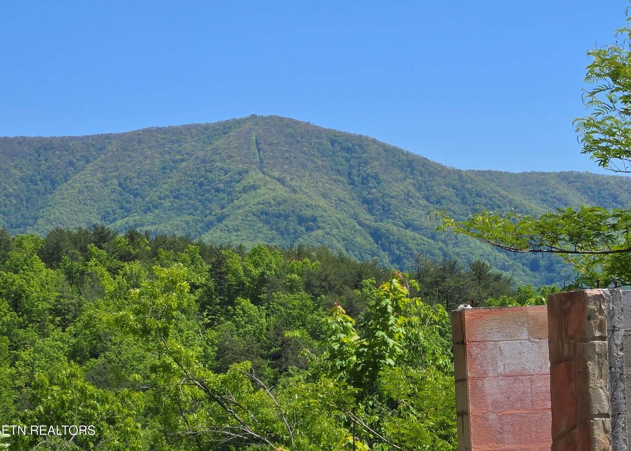 2759 Hatcher Mountain Rd - Photo 1