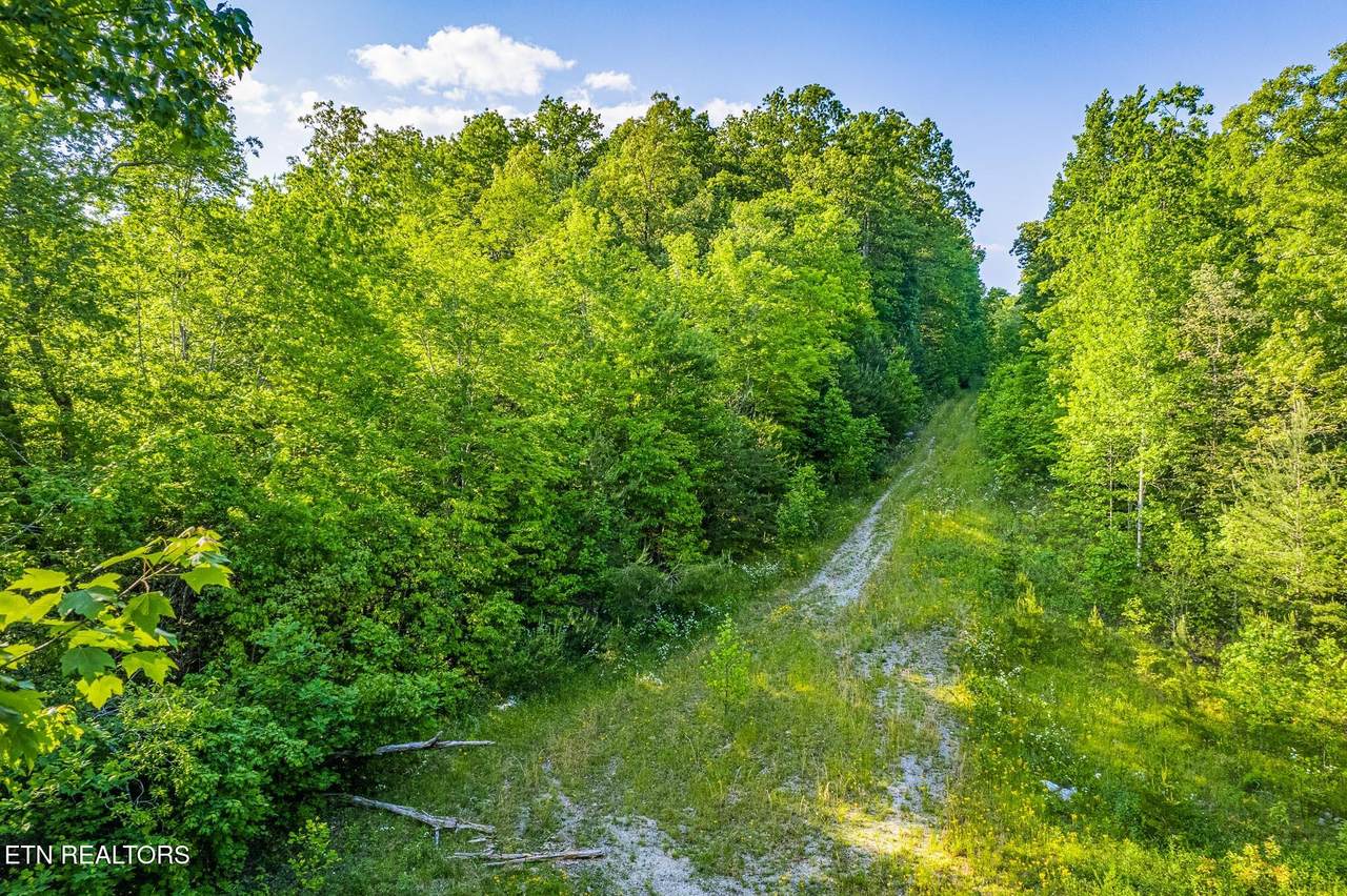https://bt-photos.global.ssl.fastly.net/kaar/1280_boomver_1_1339784-2.jpg