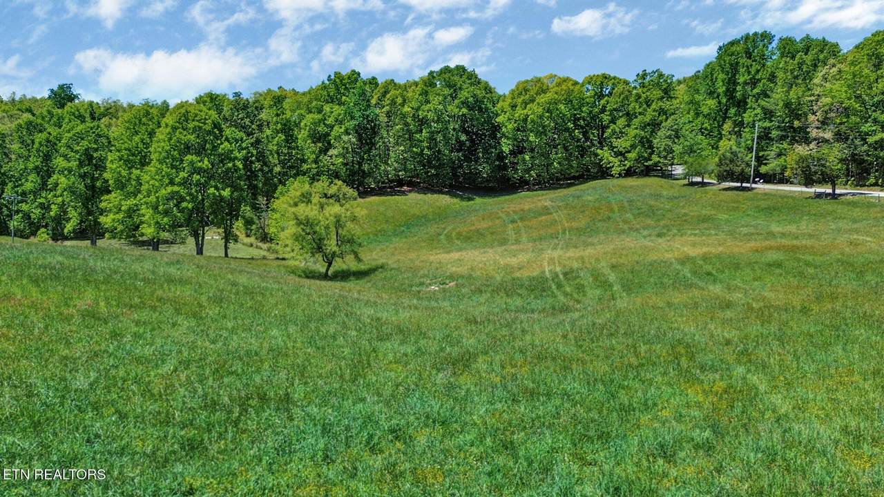 Panther Branch Rd - Photo 1