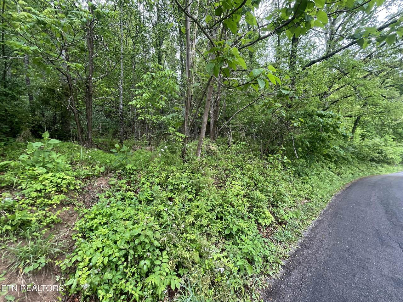 TBD Valley Creek Rd - Photo 1