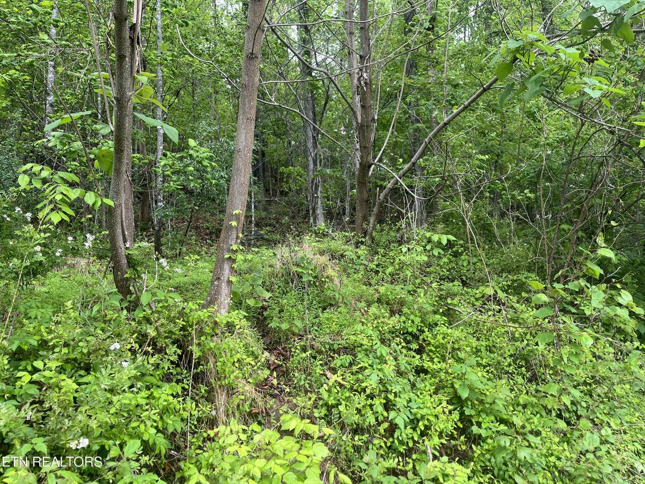 https://bt-photos.global.ssl.fastly.net/kaar/1280_boomver_1_1339923-2.jpg