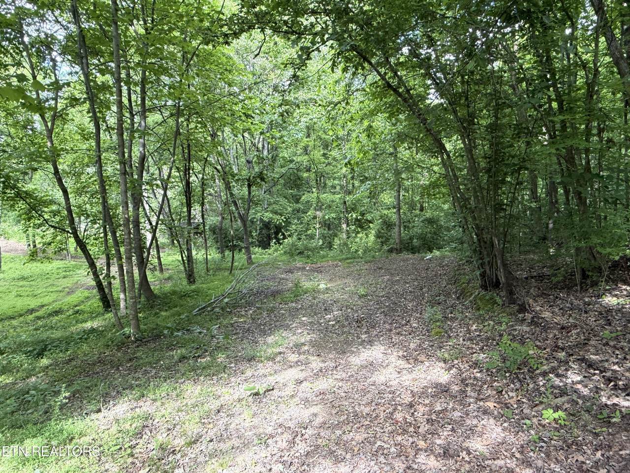 316 Wiley Town Rd - Photo 1