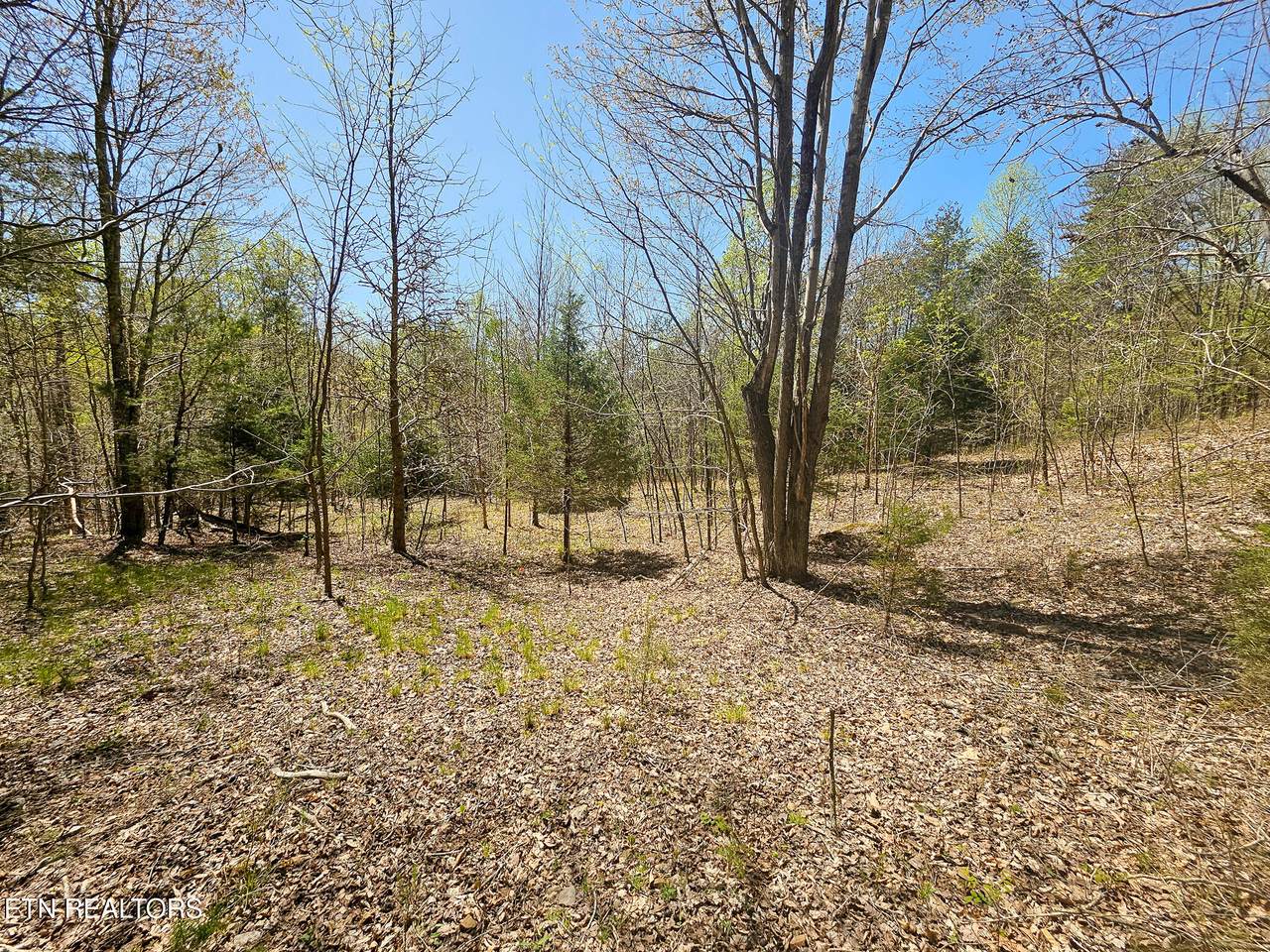 170 Bluff View Rd - Photo 1
