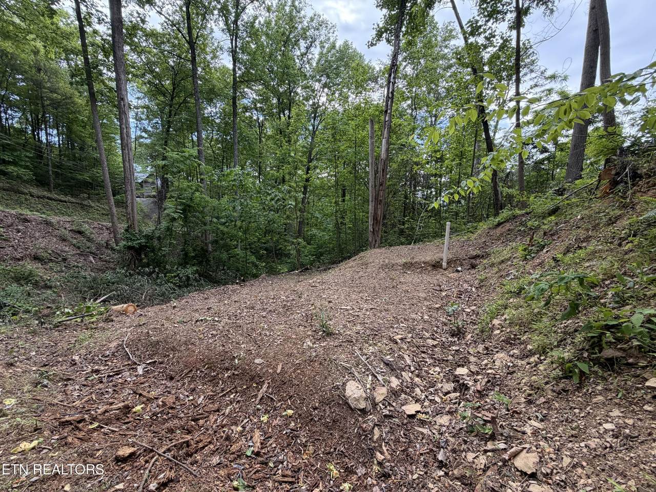 807 Old New Ground Rd - Photo 1