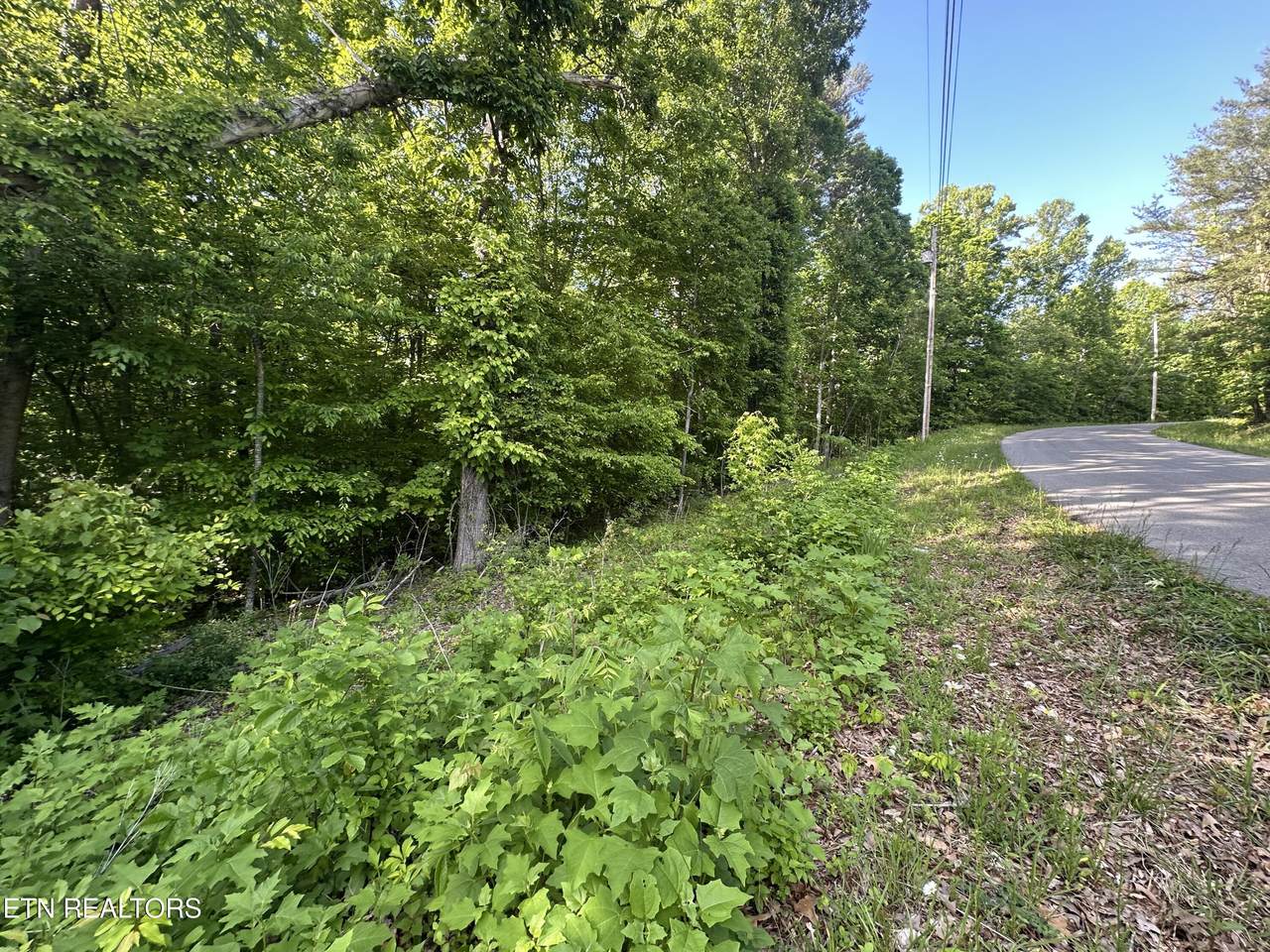  Pine Hollow Rd - Photo 1