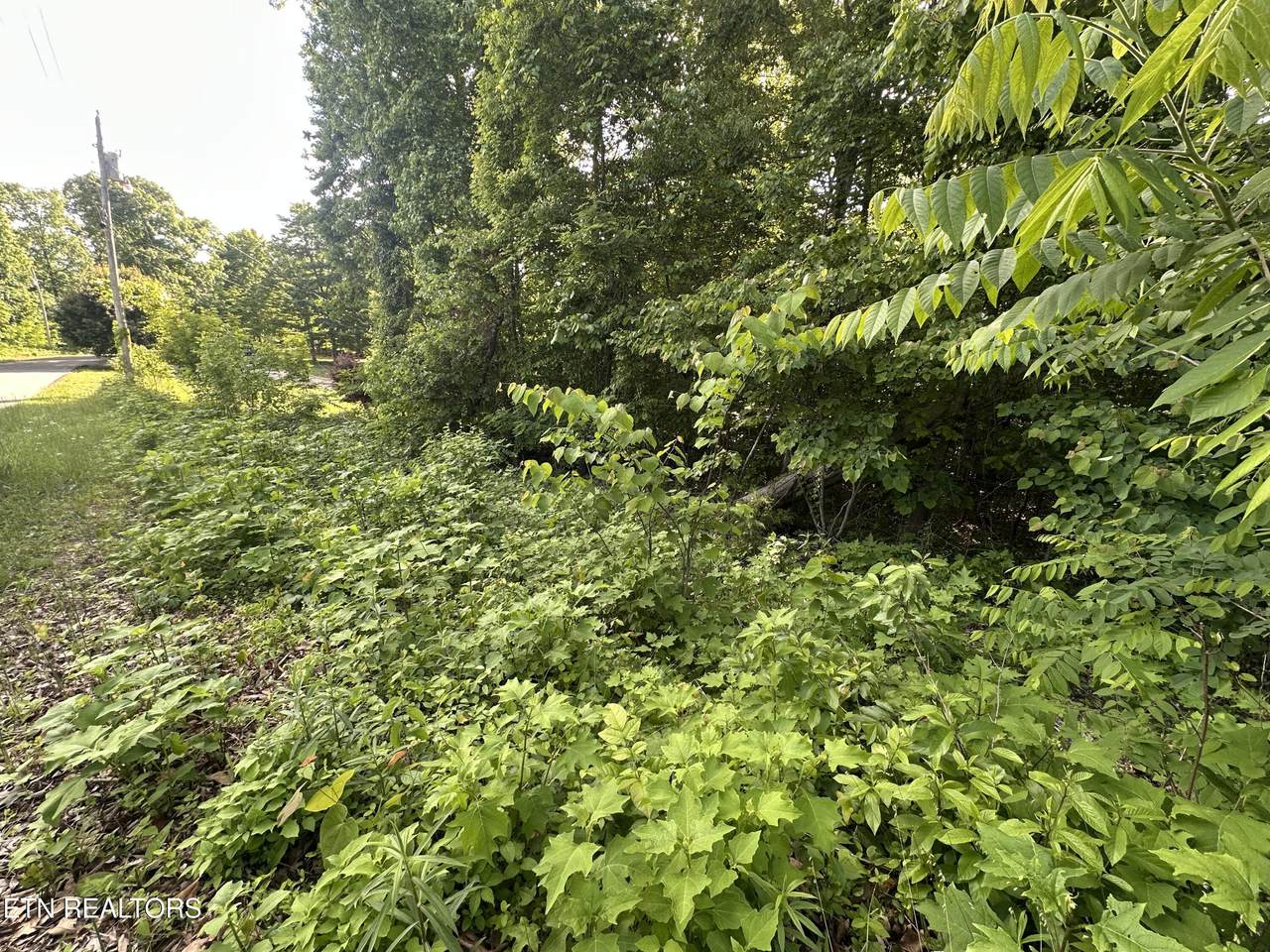 https://bt-photos.global.ssl.fastly.net/kaar/1280_boomver_1_1340197-2.jpg