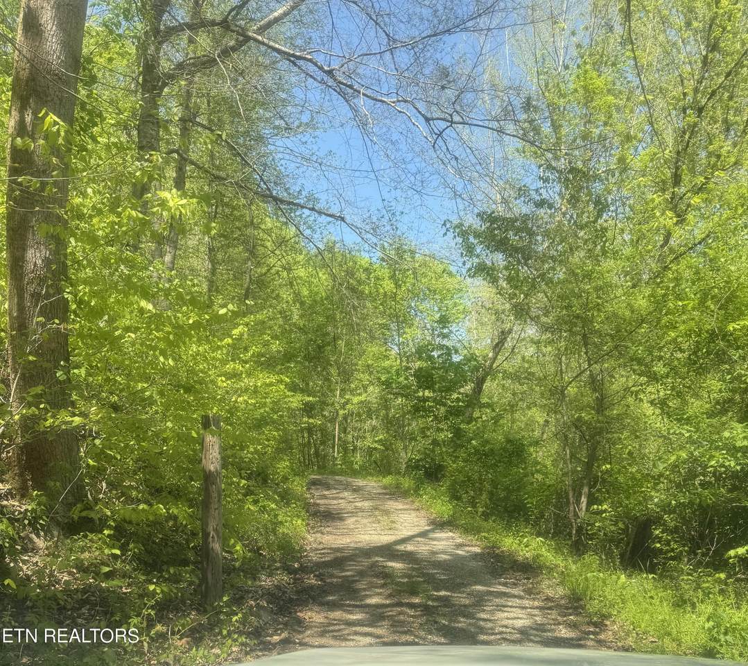  Anna Ln - Photo 1