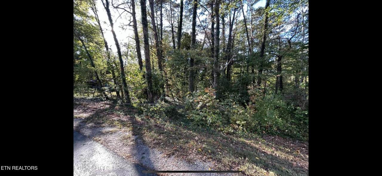 218 Oostanali Way - Photo 1