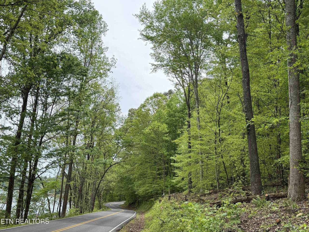 lots A&B Alder Springs Rd - Photo 1