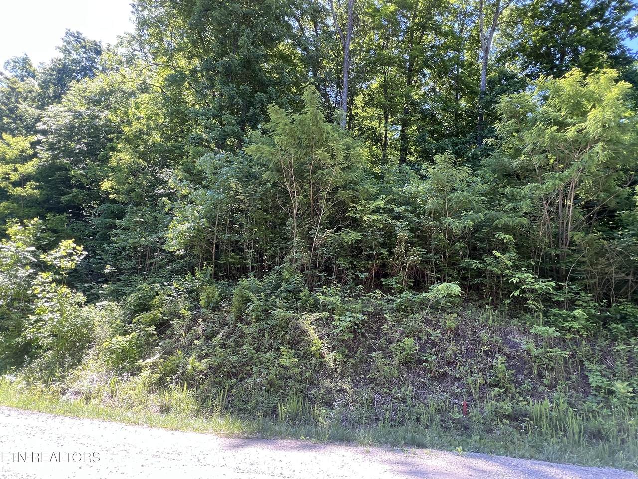  Apache Rd - Photo 1