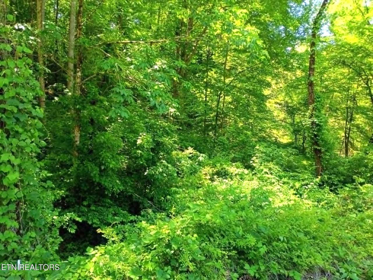 9025 Conner Rd - Photo 1