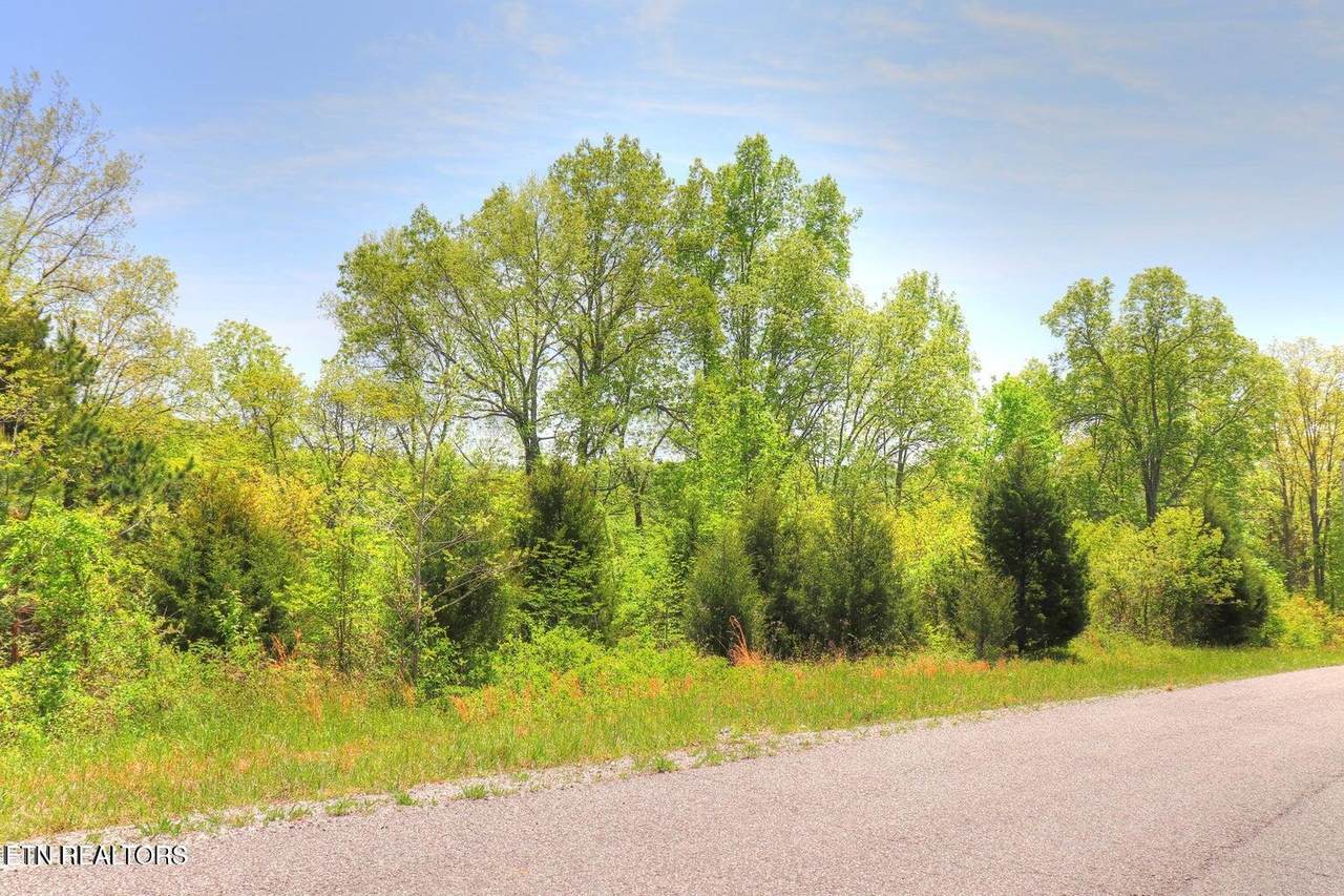 Lot 173 Saddleridge Drive - Photo 1