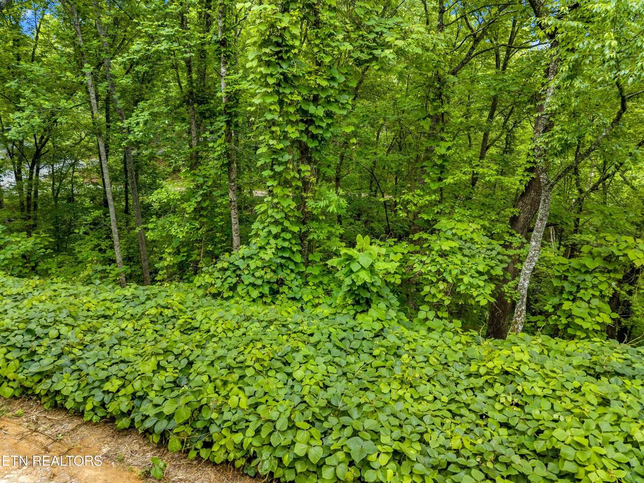 https://bt-photos.global.ssl.fastly.net/kaar/1280_boomver_1_1340842-2.jpg