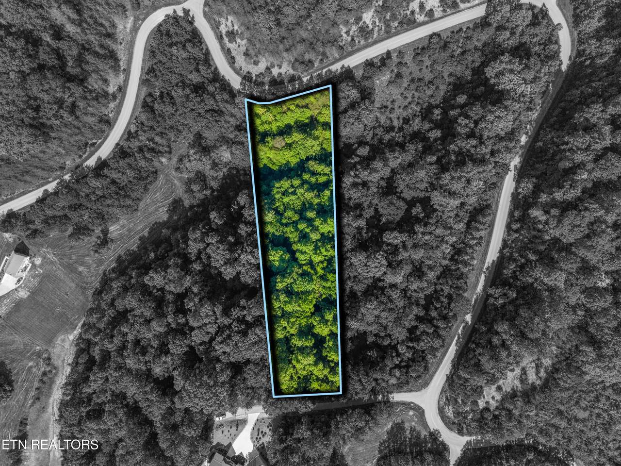 Lot 487 Magnolia Lane - Photo 1