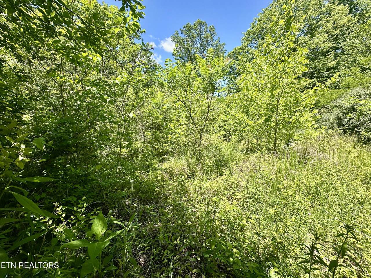 https://bt-photos.global.ssl.fastly.net/kaar/1280_boomver_1_1340875-2.jpg