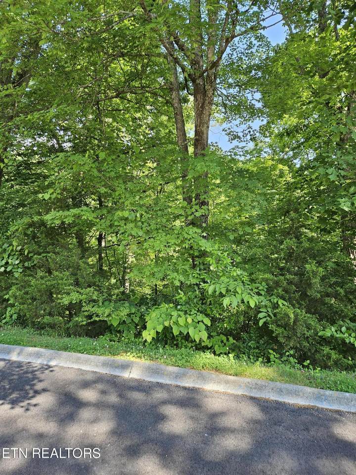 lot 15 Saddleback Way - Photo 1
