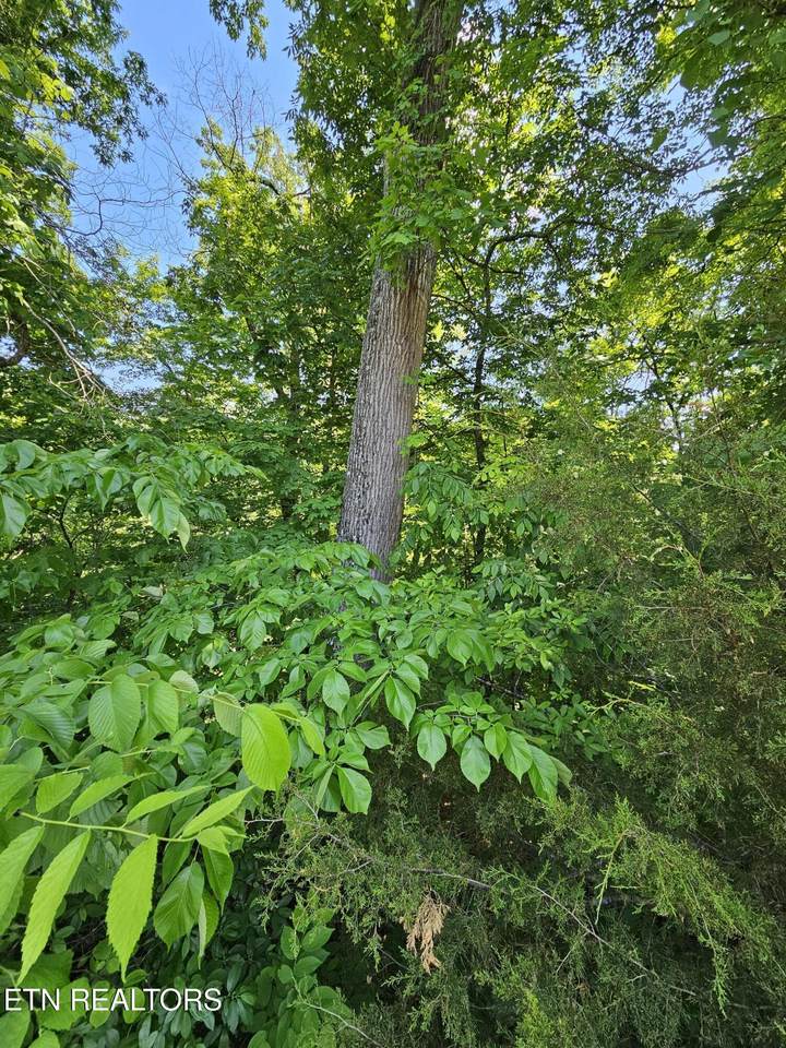 https://bt-photos.global.ssl.fastly.net/kaar/1280_boomver_1_1341292-2.jpg
