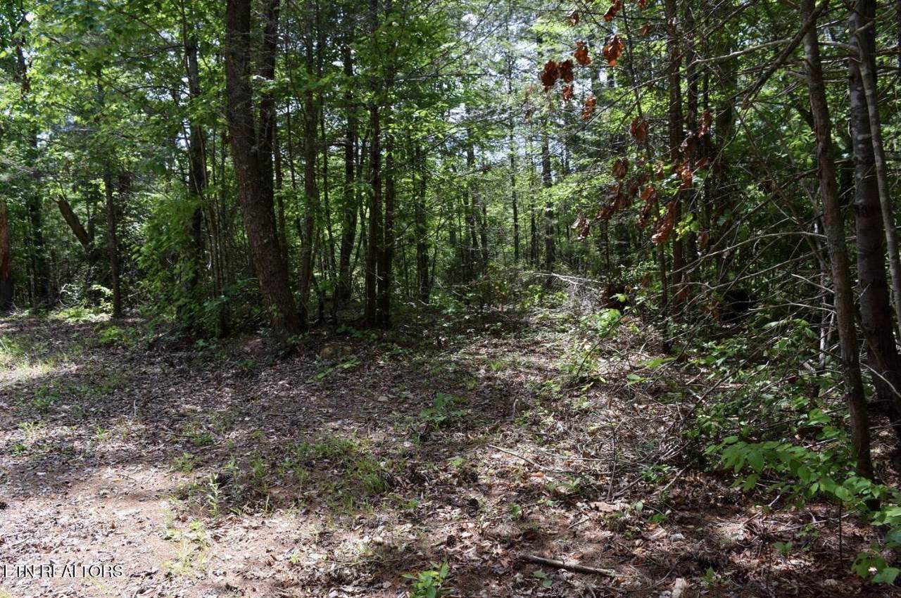 1840 Bryant Hollow Way - Photo 1