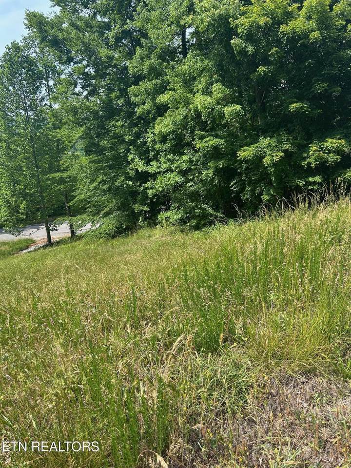 lot 214 Suncrest Cove - Photo 1