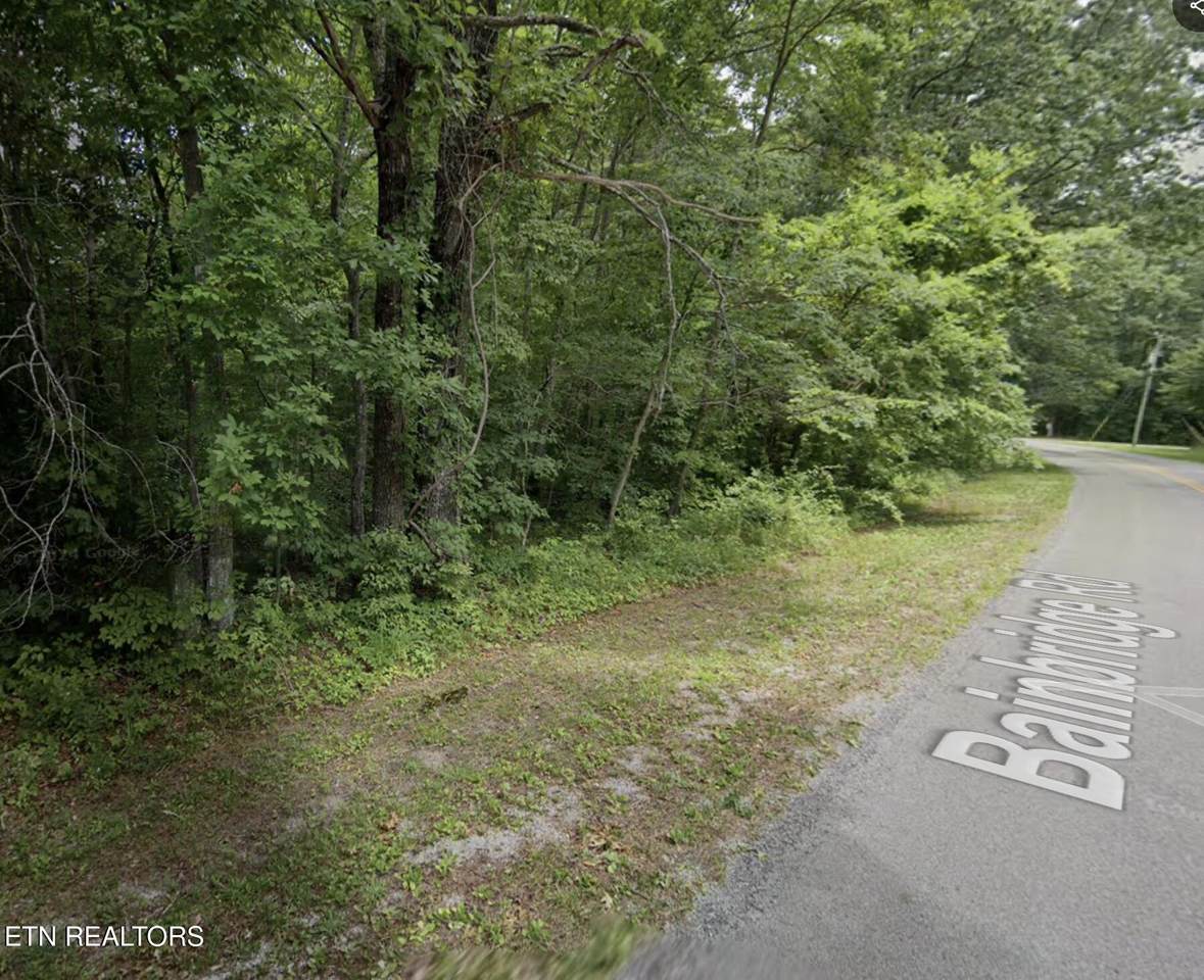 227 Bainbridge Rd - Photo 1