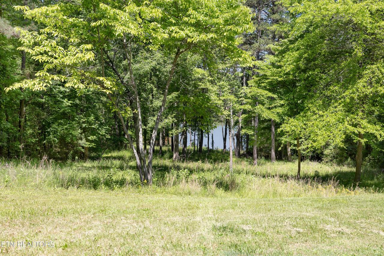 772 Wood Duck Drive - Photo 1