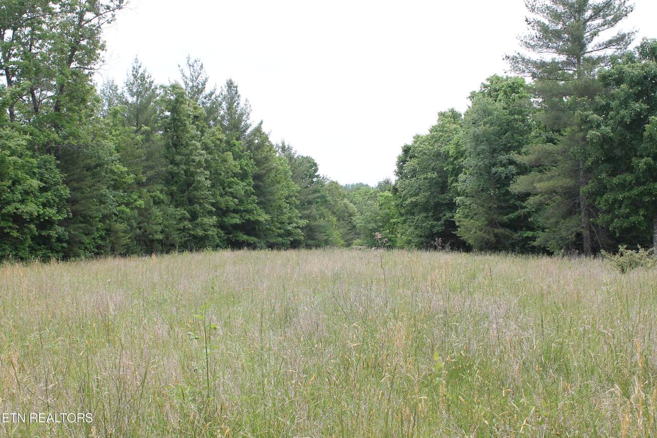 232 Wright Cemetery Rd - Photo 1