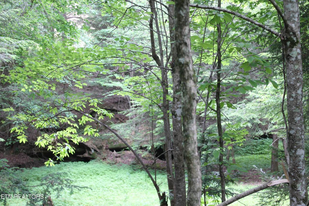 https://bt-photos.global.ssl.fastly.net/kaar/1280_boomver_1_1341540-2.jpg