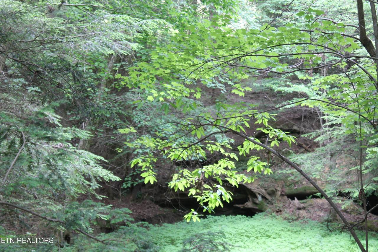 https://bt-photos.global.ssl.fastly.net/kaar/1280_boomver_1_1341540-2.jpg