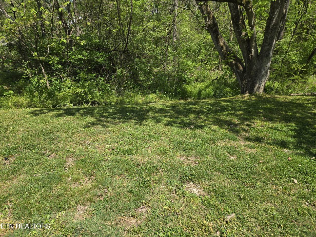 564 Keylon Drive - Photo 1