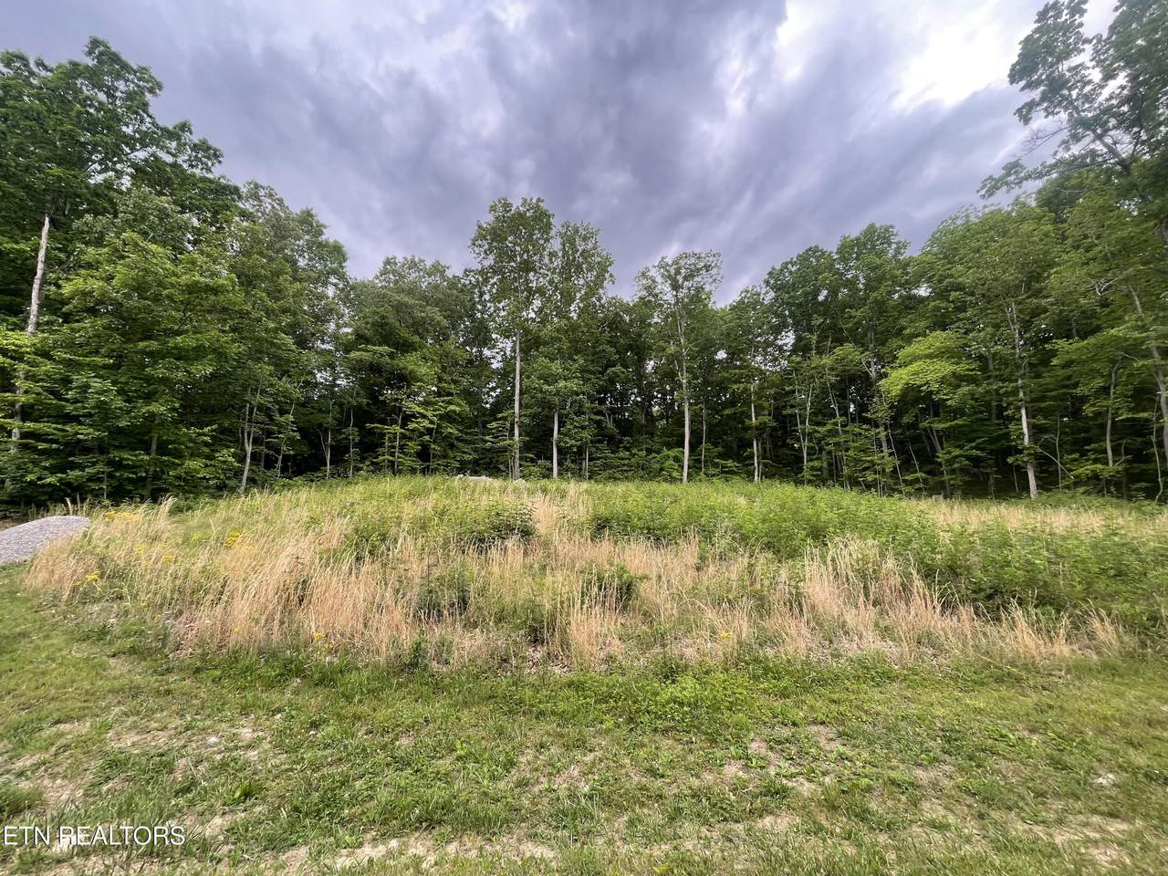  Willow Ridge Drive - Photo 1