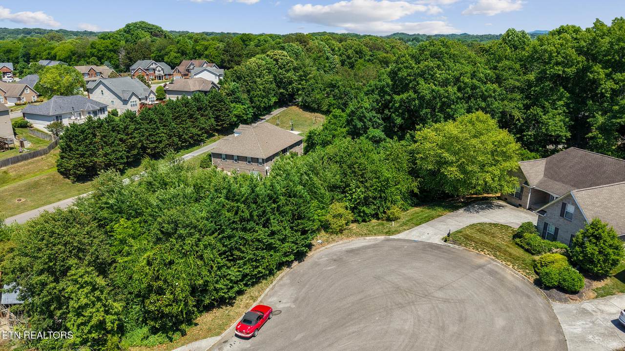 9316 Sway Branch Lane - Photo 1